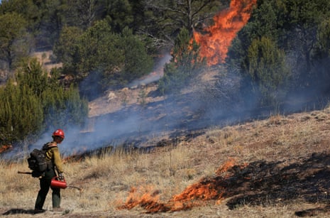 A firefighter holds a red blowtorch as he observes a field burning.