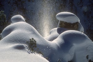 Em uma manhã muito fria na borda do Grand Canyon do Yellowstone, cristais de gelo iluminados pelo sol nascente criam um 'pilar solar' entre as almofadas de neve.