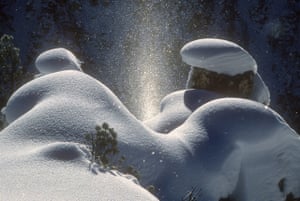 On a very cold morning on the rim of the Grand Canyon of the Yellowstone, crystals of frost backlighted by the rising sun create a ‘sun pillar’ among the pillows of snow.