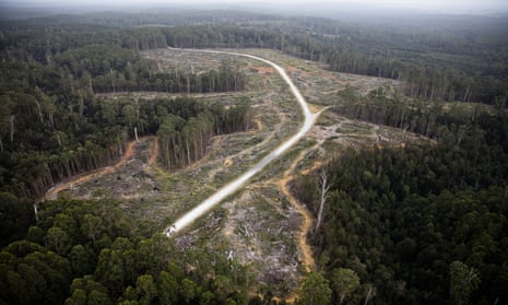An aerial image above the takayna / Tarkine revealing the logging operations that operate in the area in Tasmania, Australia. 