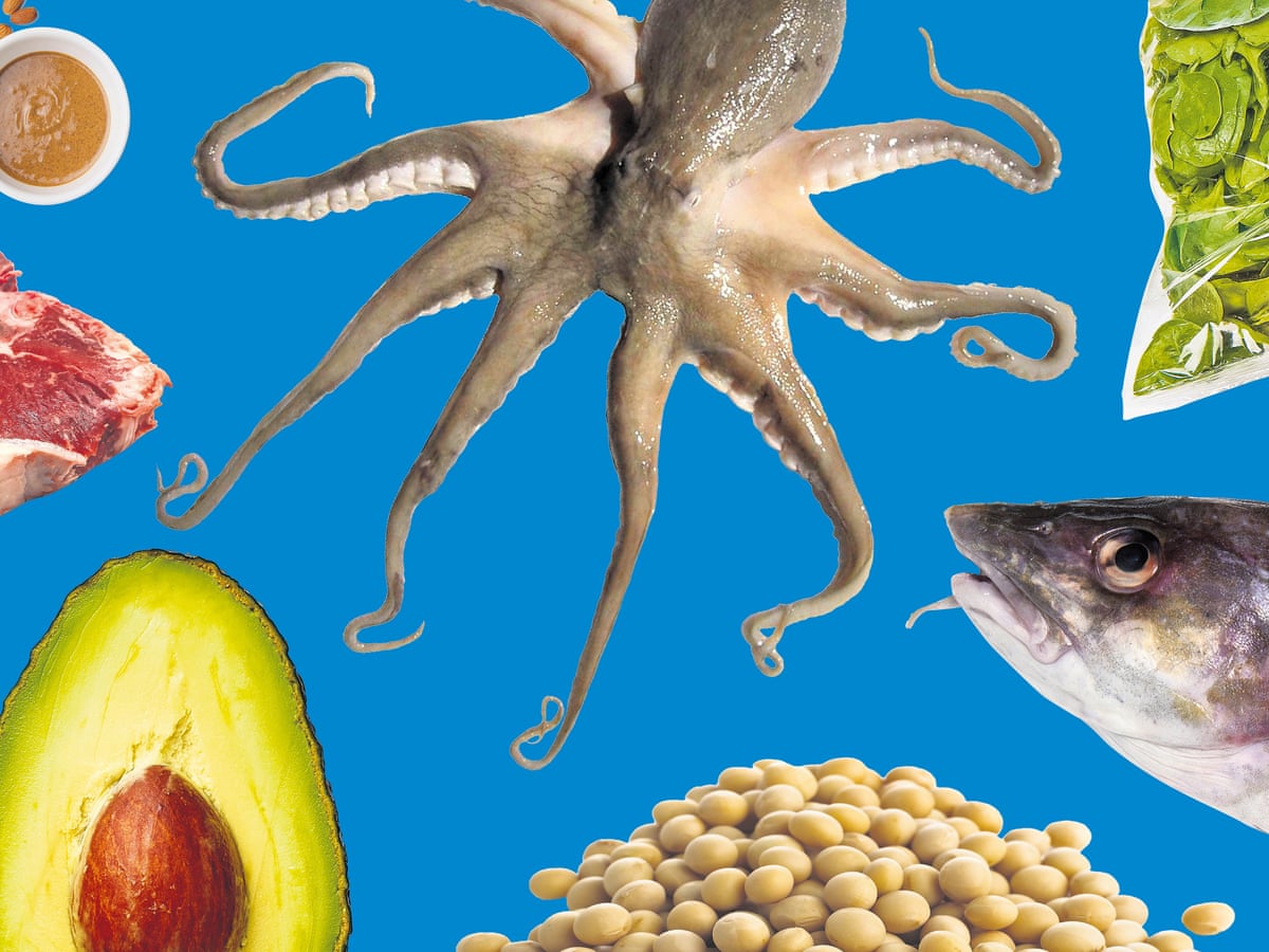 To Eat Or Not To Eat 10 Of The World S Most Controversial Foods Environment The Guardian