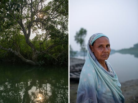 A composite photo of two images: on the left, the sun seen through mangrove trees and glinting on water; in the other, a middle-aged south Asian woman wearing a traditional dupatta over her head and shoulders
