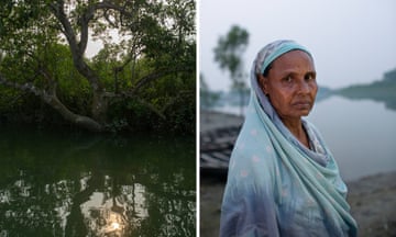 A composite photo of  the sun seen through mangrove trees and glinting on water;  and a middle-aged south Asian woman wearing a traditional dupatta over her head and shoulders
