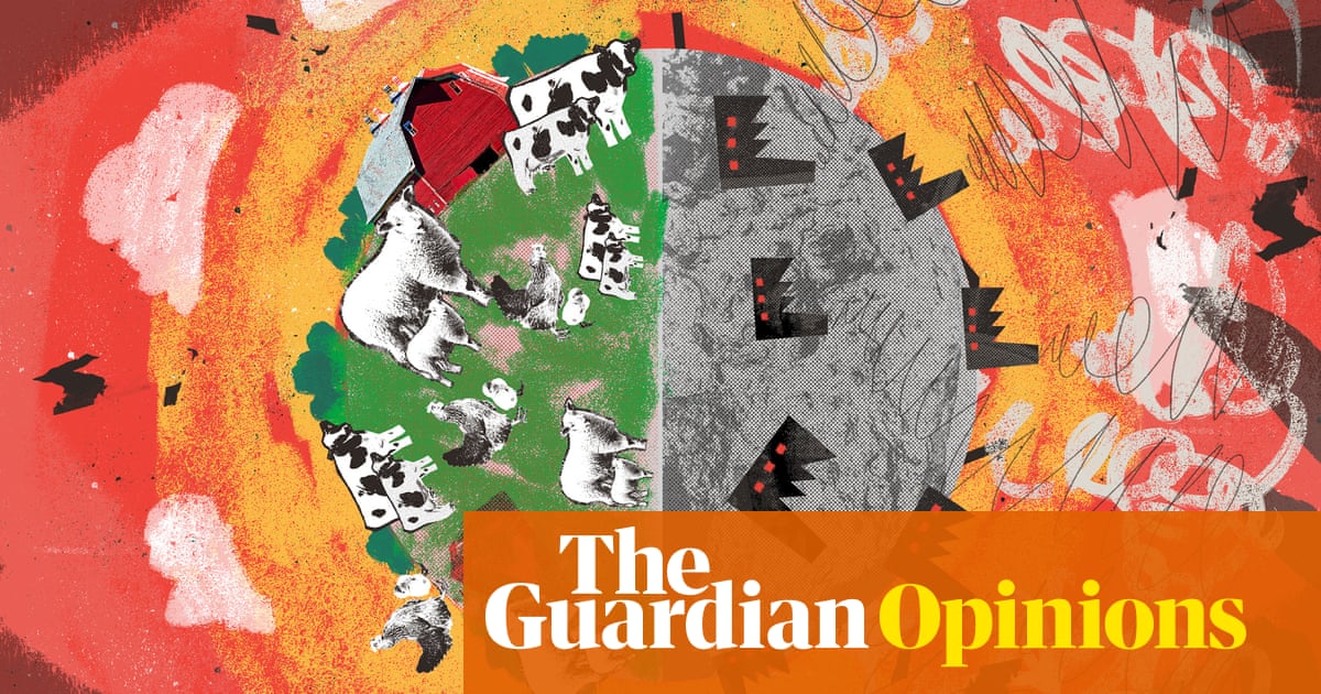 ‘Farming good, factory bad’, we think. When it comes to the global food crisis, it isn’t so simple