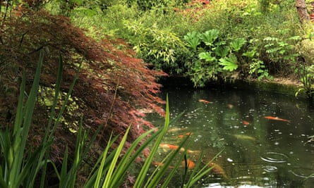 A garden pond