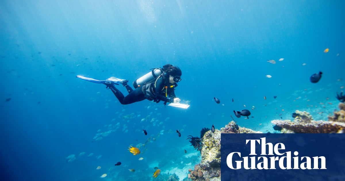 Living in Indonesia's marine protected areas - in pictures