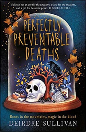 Perfectly Preventable Deaths cover