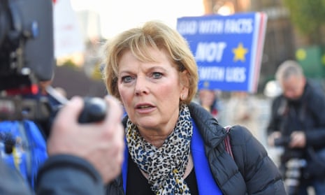 The former Tory MP Anna Soubry