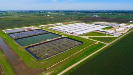 An aerial view of a large farm with animal sheds and large pits of manure