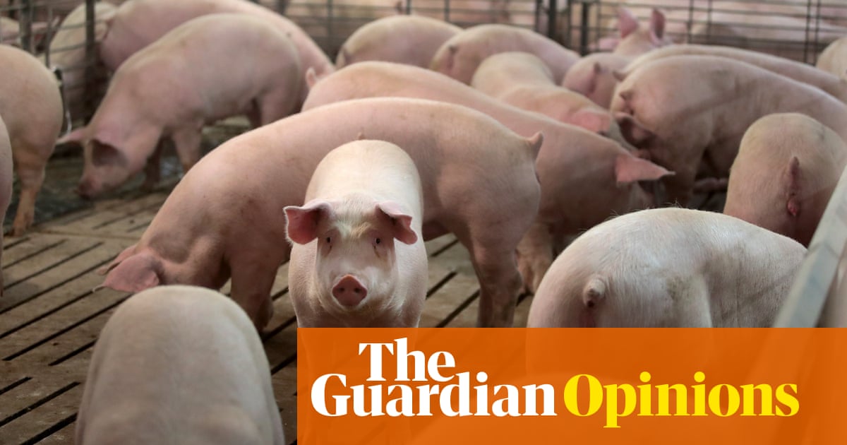 Its Time To Dismantle Factory Farms And Get Used To Eating Less Meat