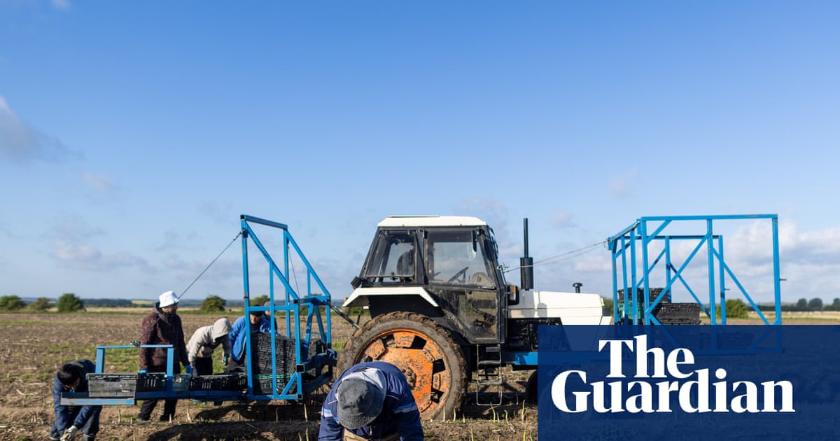 Tuesday briefing: How ‘climateflation’ is pushing food prices ever higher – and changing how we eat | Climate crisis Tuesday briefing: How ‘climateflation’ is pushing food prices ever higher – and changing how we eat | Climate crisis
