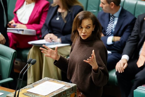 The minister for small business, international development and multicultural affairs, Dr Anne Aly, speaks in the House of Representatives on Wednesday.