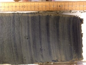 The core cut open, showing the laminated sediment layers of mud.