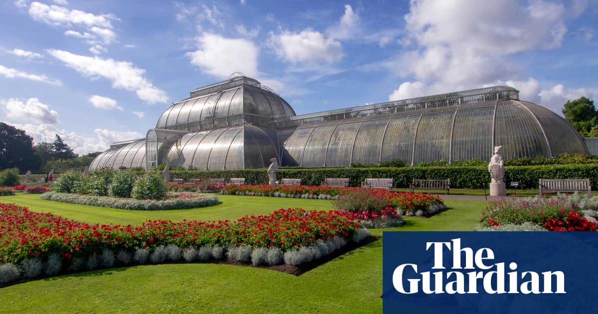 Kew Gardens' tropical Palm House to shut for five years for net zero makeover