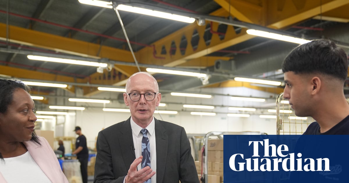‘Work is good for you’: how UK scheme could help tackle youth mental health crisis