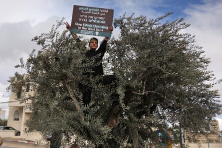 A woman stood in an olive tree holds a placard and flashes the V for victory sign during a protest by Israeli and Palestinian activists against Israeli settler violence at the north entrance of Beit Jala, near Bethlehem in the occupied West Bank.