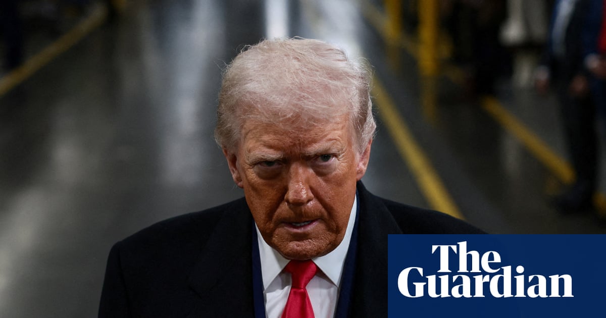 American democracy on the brink a year after Trump’s election, experts say