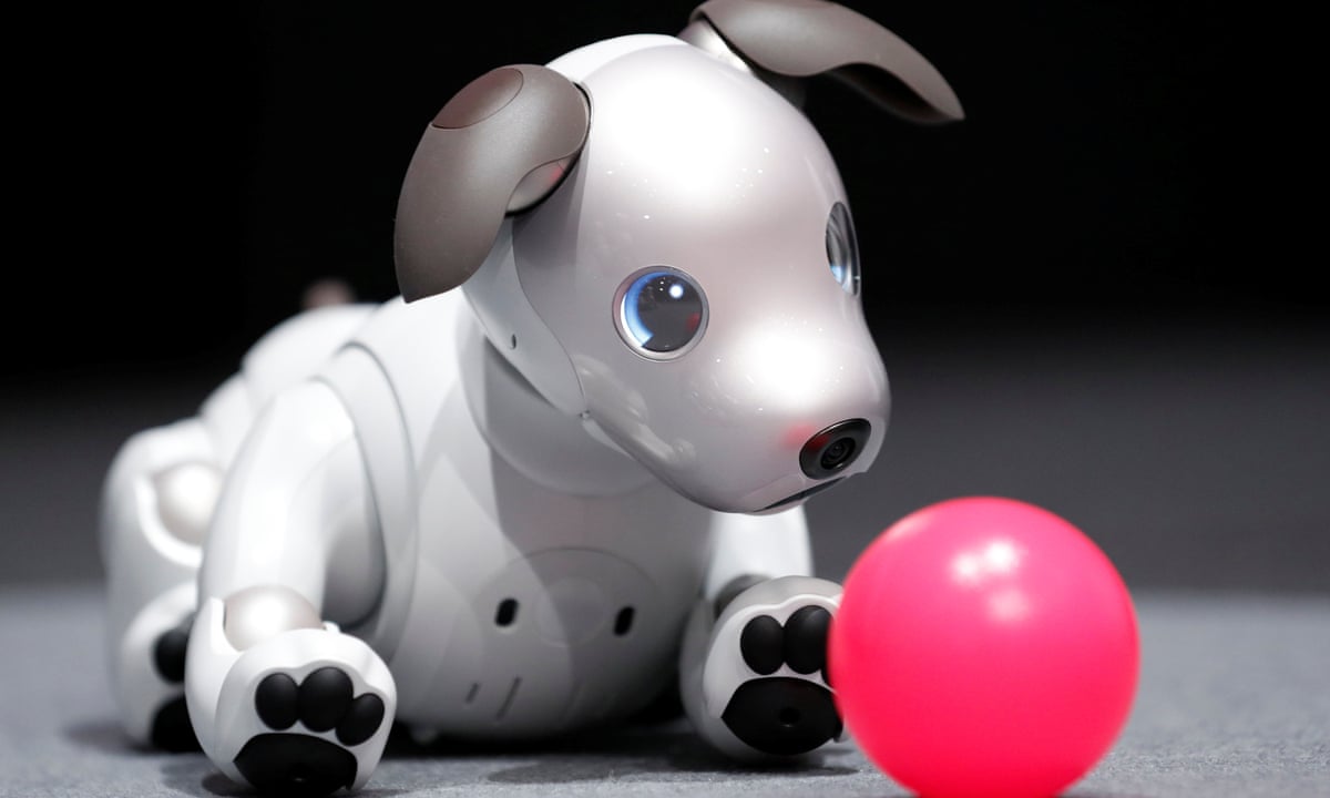 brings its AI-infused robotic dog Aibo back from the dead | The Guardian