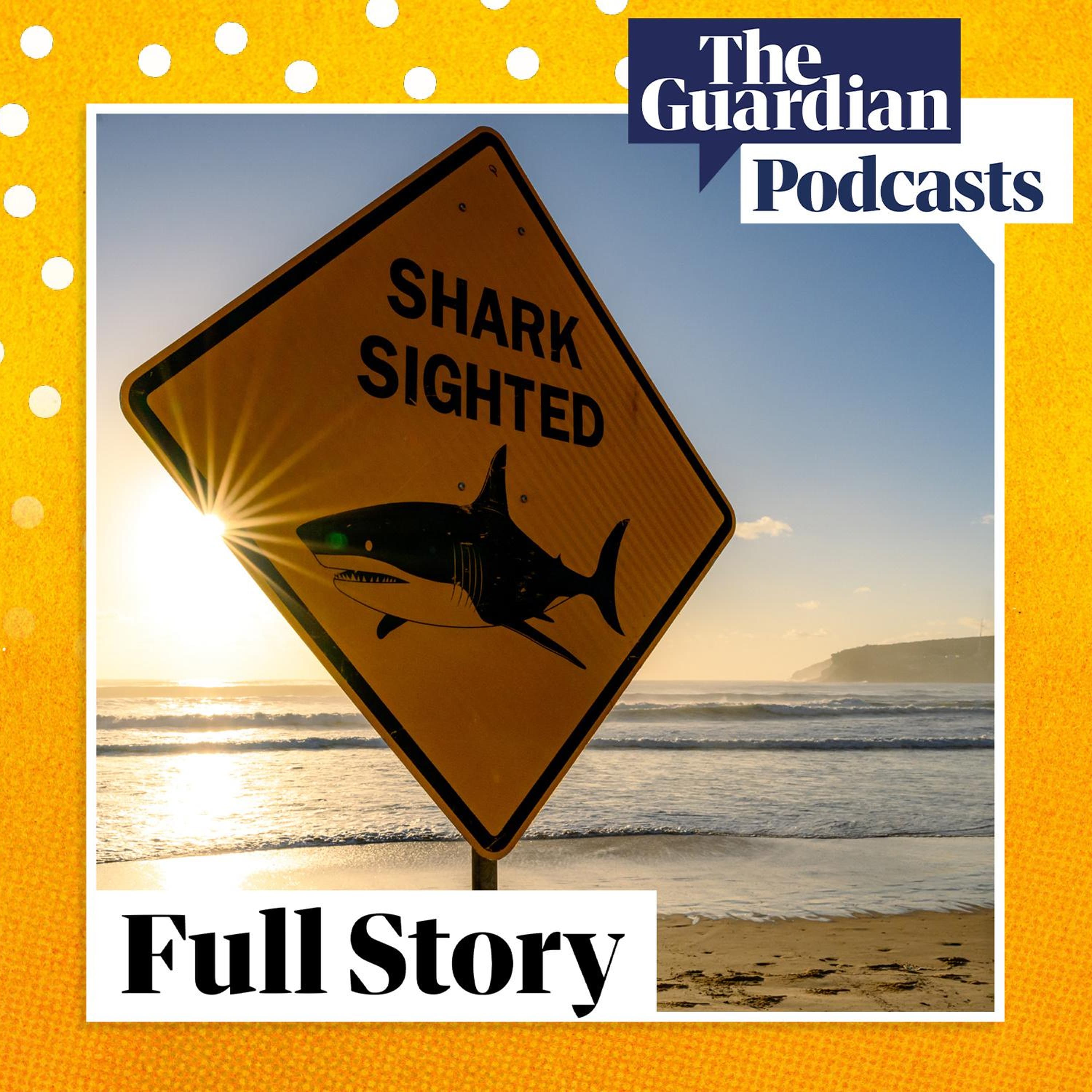 What’s behind the Sydney shark attack cluster? What’s behind the Sydney shark attack cluster?