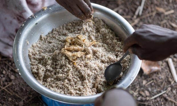 Un plat en métal contenant du fonio cuit avec du poulet effiloché.  Une main met une cuillère dans le plat.