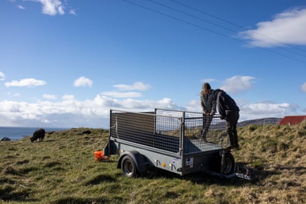 Two children clambering on a trailer
