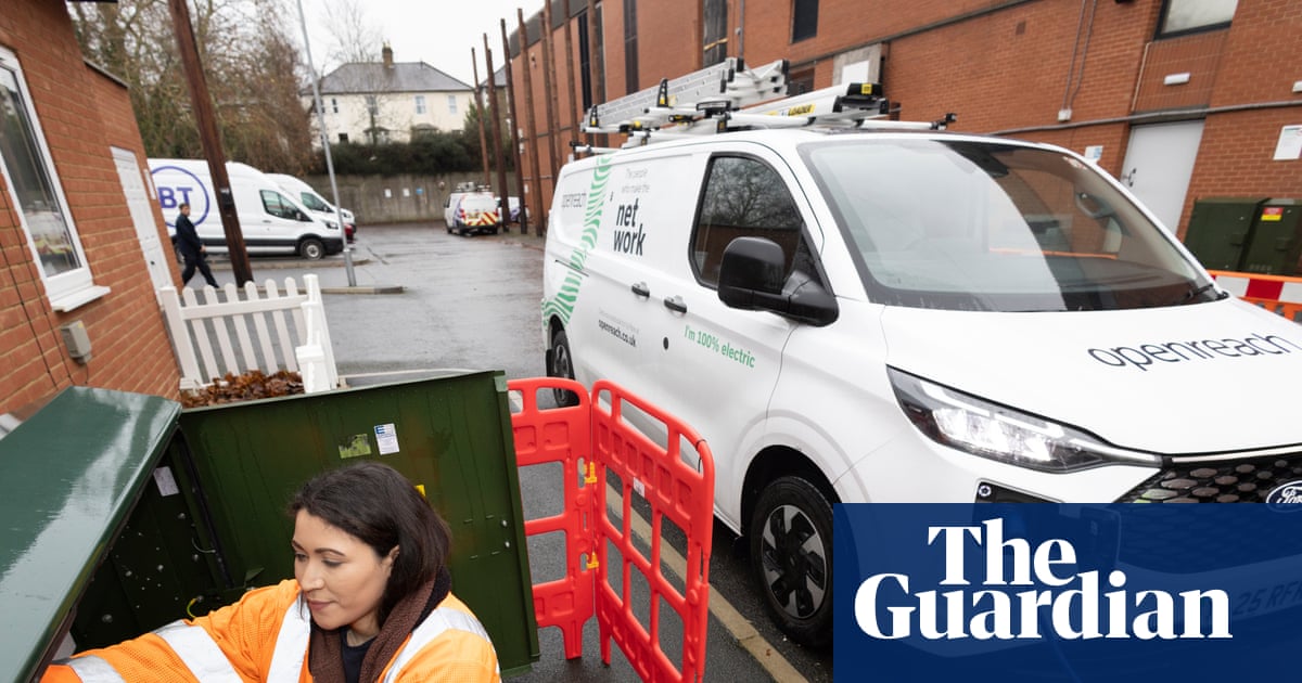 Why it has not been so easy being green for the white van in the UK