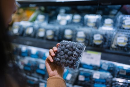 A person holding a box of blueberries.