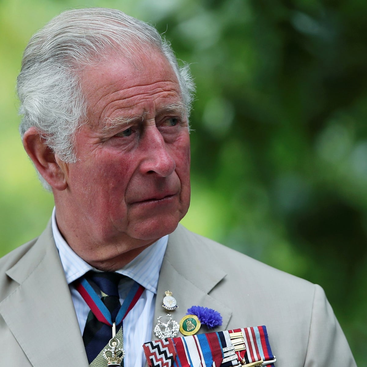 Prince Charles Calls For Marshall Like Plan To Combat Climate Crisis Prince Charles The Guardian