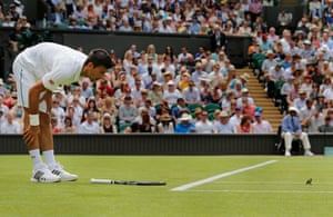 Novak Djokovic invites a small bird onto his racquet at Wimbledon