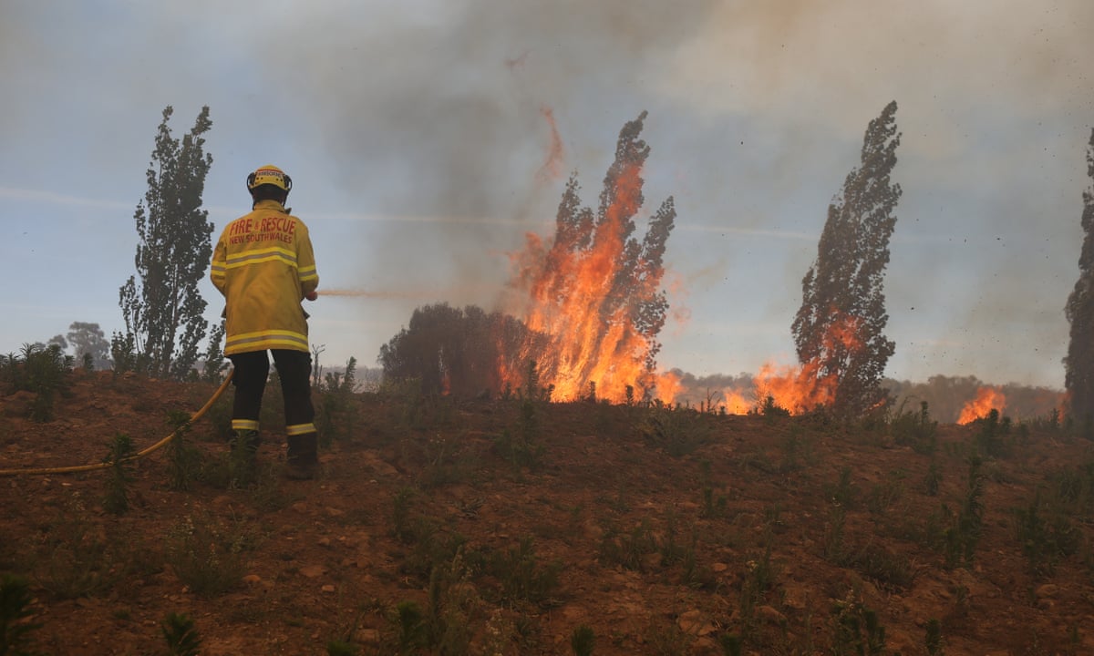 Firefighters Battle Boxing Day Bushfires Ahead Of Looming Heatwave Australia Weather The Guardian