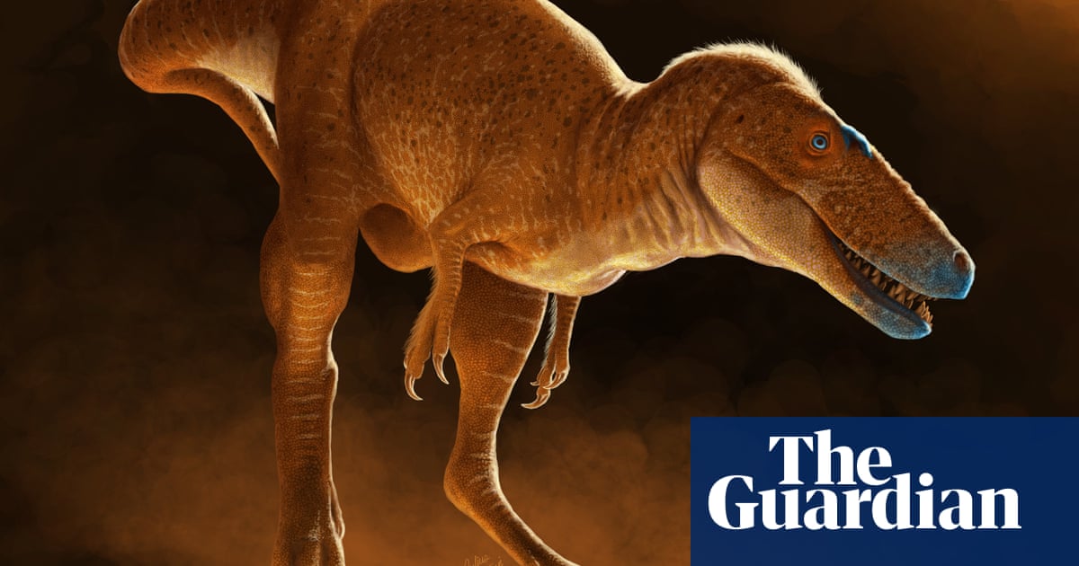 Fossils found in 1970s are most recent ancestor of tyrannosaurs, scientists say