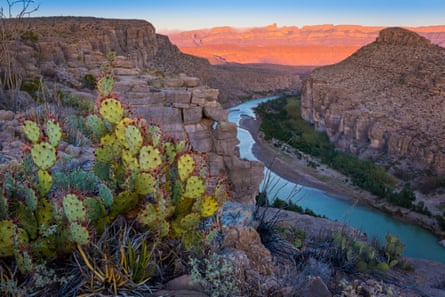wide view of national park with cactus in foreground and rock formations in background