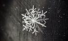 'Poor little snowflake' - the defining insult of 2016