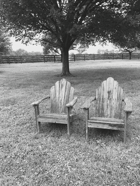 Two chairs sitting in a field close to a big tree