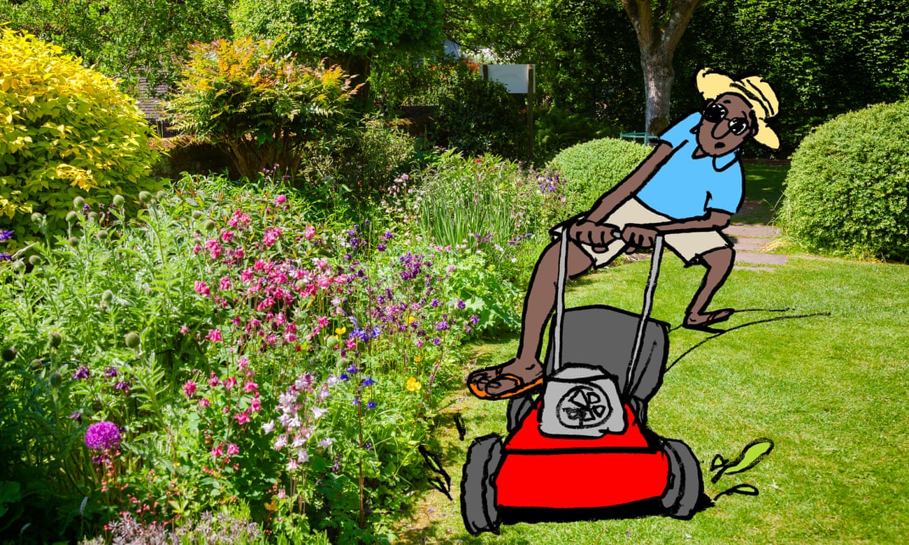 cartoon of lawns and gardens