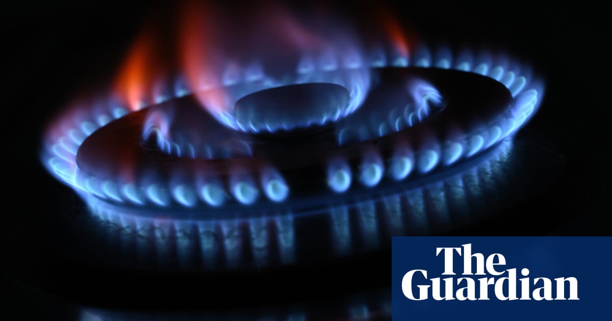Europe could face energy rationing as ‘really tough winter’ looms, Shell boss warns
