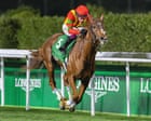 It is not only horses that suffer. Racing has human victims, too | Letter