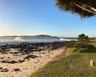 After four shark attacks in 48 hours, NSW authorities urge beachgoers ‘just go to a pool’