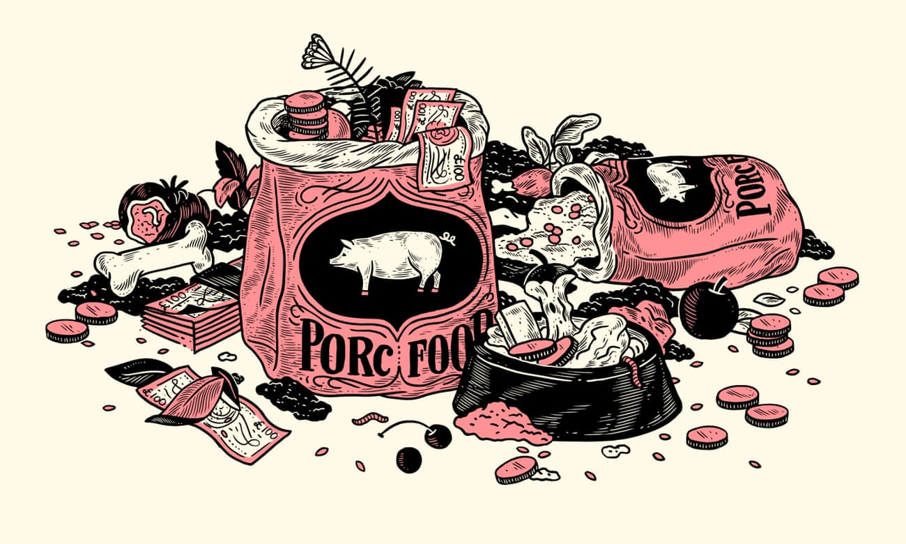 Pig food illustration