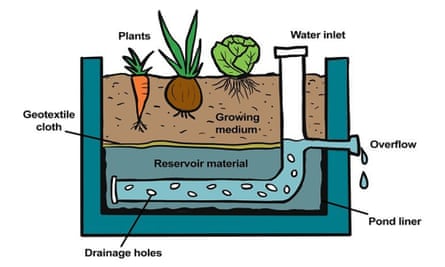 How to make a wicking bed: a veggie patch watering solution for hot  Australian summers, Australian lifestyle