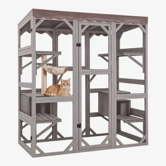Your indoor cat is bored. Here are toys and tools to fix that | cats 1000