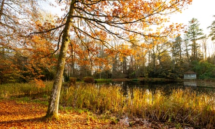 Autumn colour on the estate at Wallington, Northumberland