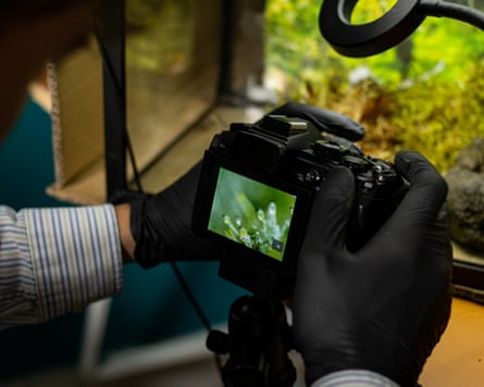 A man’s gloved hands focusing an SLR camera on a tripod on something in a tank