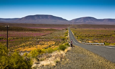 The South African government said exploiting shale gas, which is believed to lie below the Karoo region pictured, is an area of ‘real opportunity’ for the country.