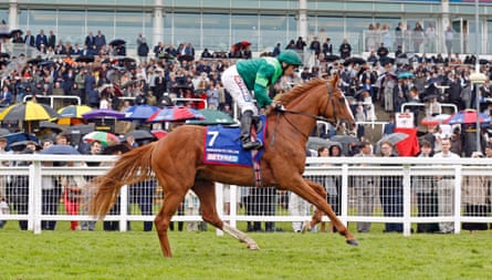 Benvenuto Cellini pictured going down to the start for the Derby though he was declared a non-runner after a stalls incident.
