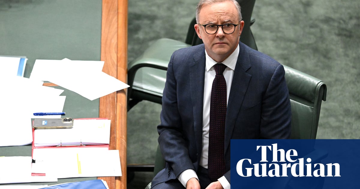 'I have been there': Albanese references own experience of family violence as he defends Labor's record