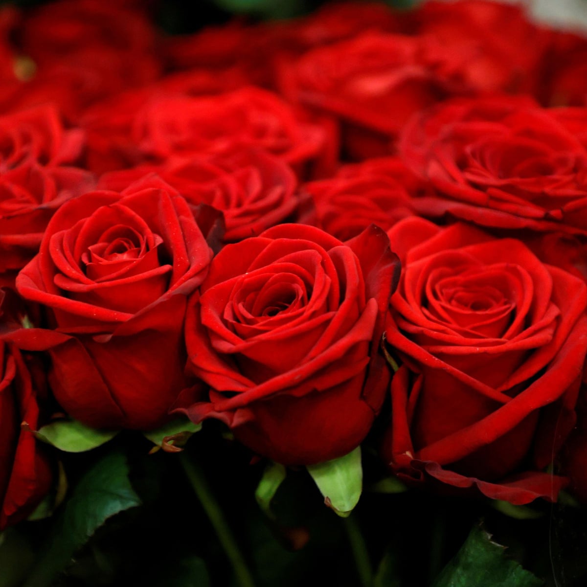 japanese art of flower arrangement crossword clue stampinwithmim