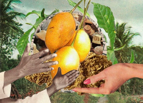 illustration shows hands on a plant