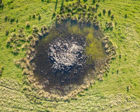 From V2 rocket-scarred London to Ukraine: how nature thrives in bomb craters