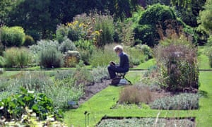 Mirar más allá del Chelsea flower show para jardinería inspiración - El Tutor 3 Eileen Hogan sketching at the Chelsea Physic Garden.